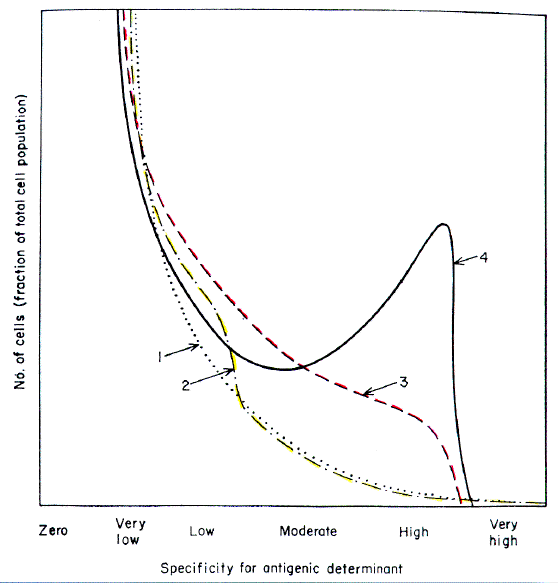 possel04.gif (43878 bytes)