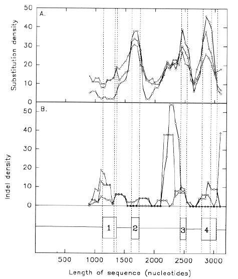 snake phospholipase gene showing more substitutions in exons than in introns.