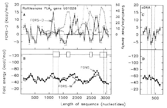 Snake phospholipase. Comparison of distributions of substitutions with various folding parameters