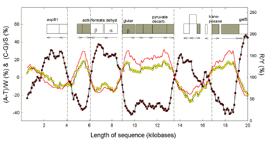 First Figure of Lao and Forsdyke (2000) on thermophiles
