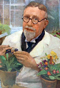 Erich von Tschermak (1855-1927) with Primula veris
