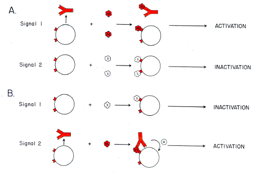 twosig01.gif (51892 bytes)