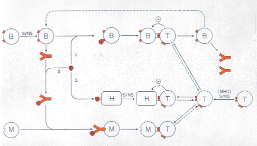 twosig02.gif (277125 bytes)