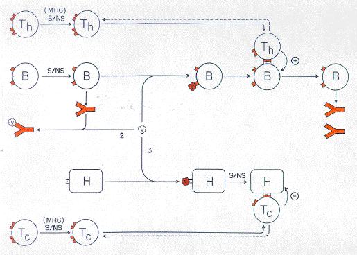 twosig03.gif (270042 bytes)
