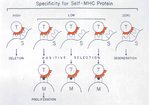 twosig04.gif (300449 bytes)
