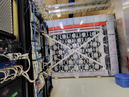 The HALO detector and its electronics