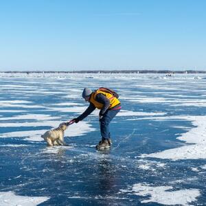 Prof. Widrow with pet dog