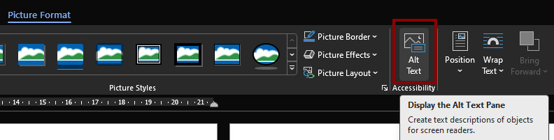 using the Picture Format menu option to open the alt text pane.