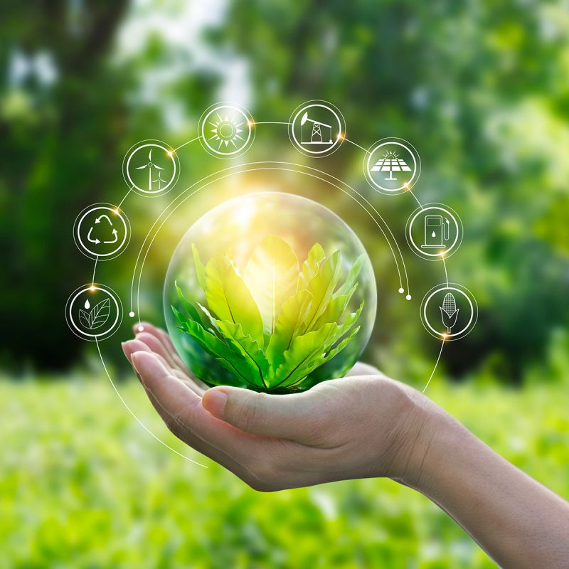 Environmental Life Sciences