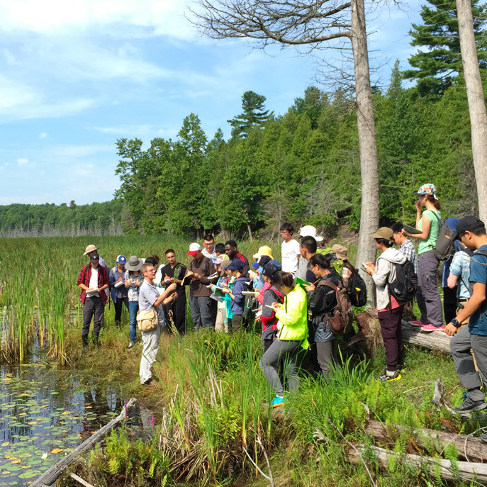 Environmental Geology