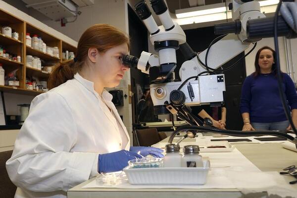 A student sits at a desk examining something with a high-tech microscope. She is wearing globes and a lab coat. A professor looks on.