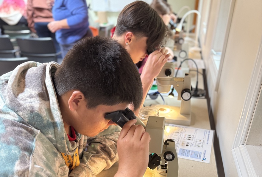 Two academy participants look through microscopes. 