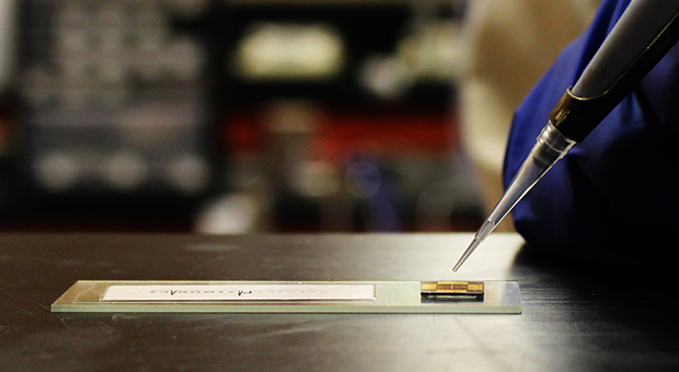 silicone chip tests chemicals