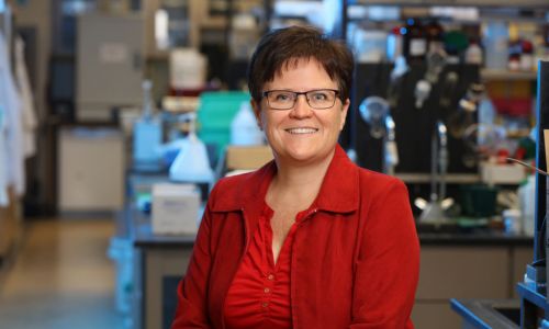 Dr. Cathleen Crudden