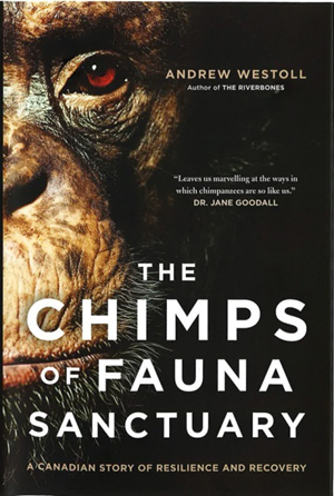 Book Cover - Chimps of the Fauna Sanctuary