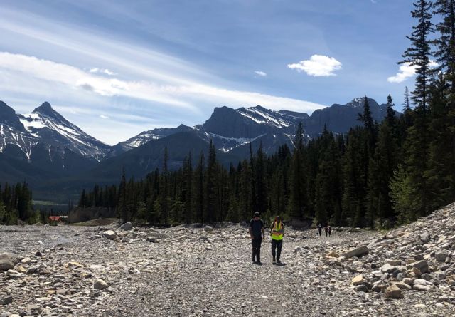 Two people walk on rocky ground with trees and mountains in the background