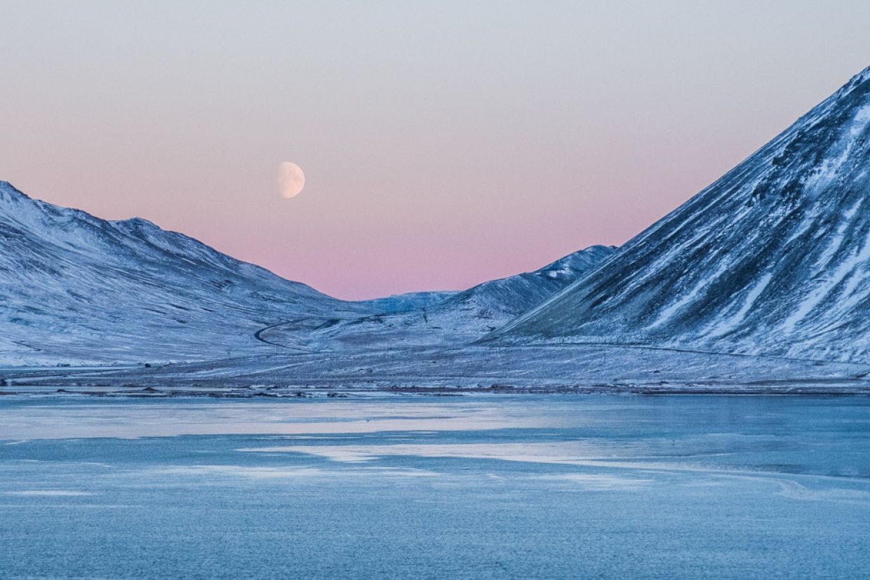 Arctic tundra at dusk. A white moon is visible in a pink sunset sky.