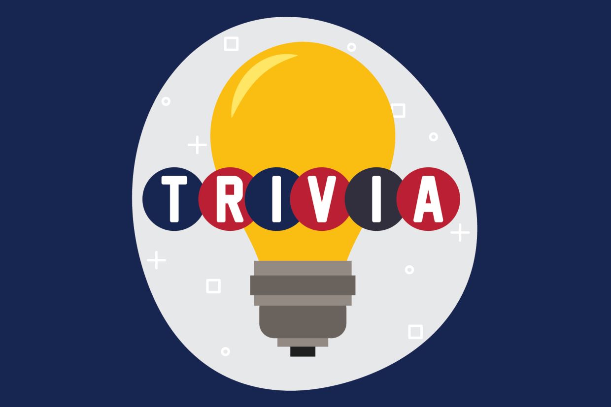 Retro-inspired word art and an illustration of a lightbulb in tricolour. Text spells the word trivia.