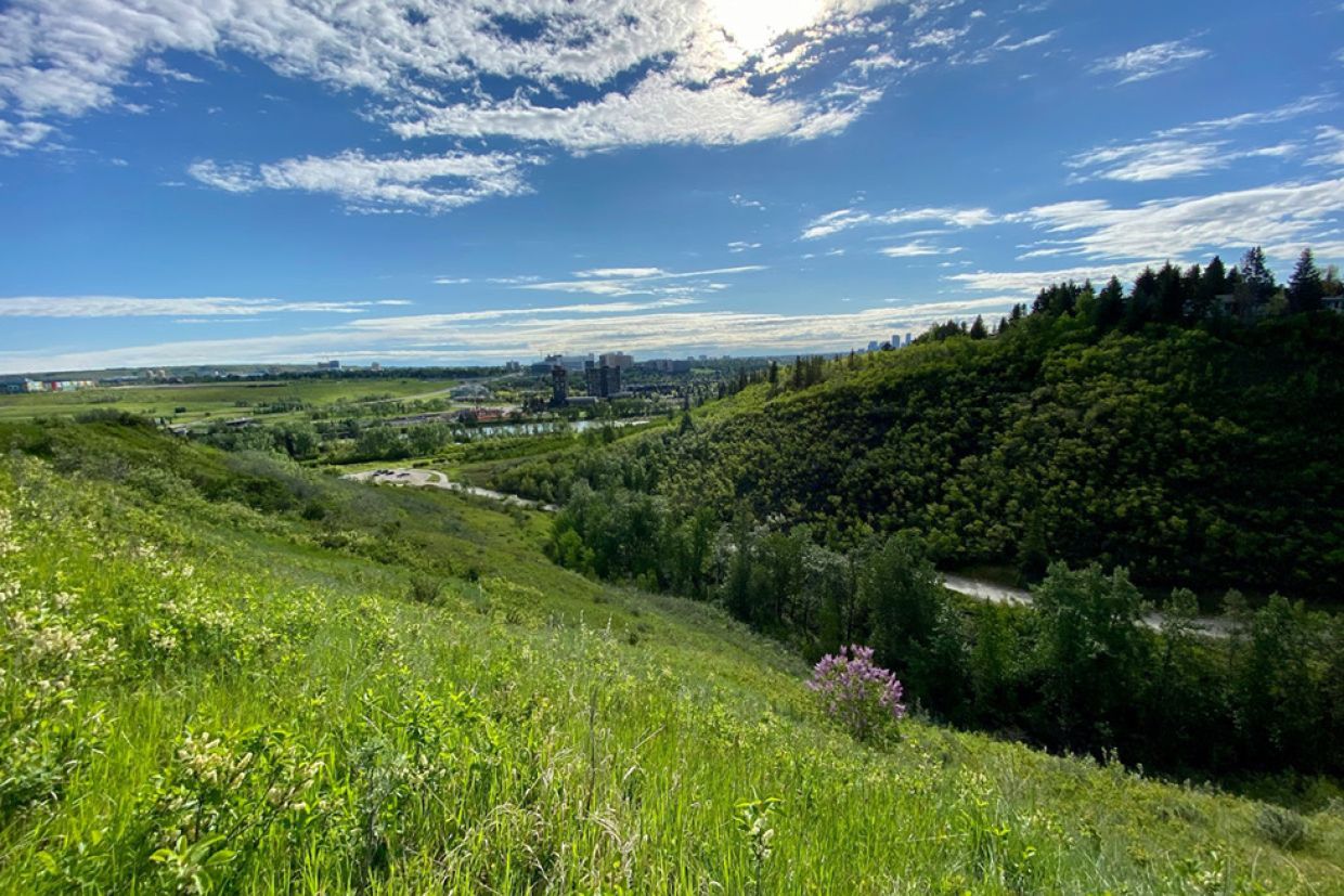 Edworthy Park on a sunny, blue-sky day