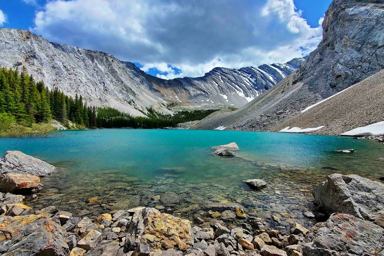 A lake with trees and the Rocky Mountains in the background