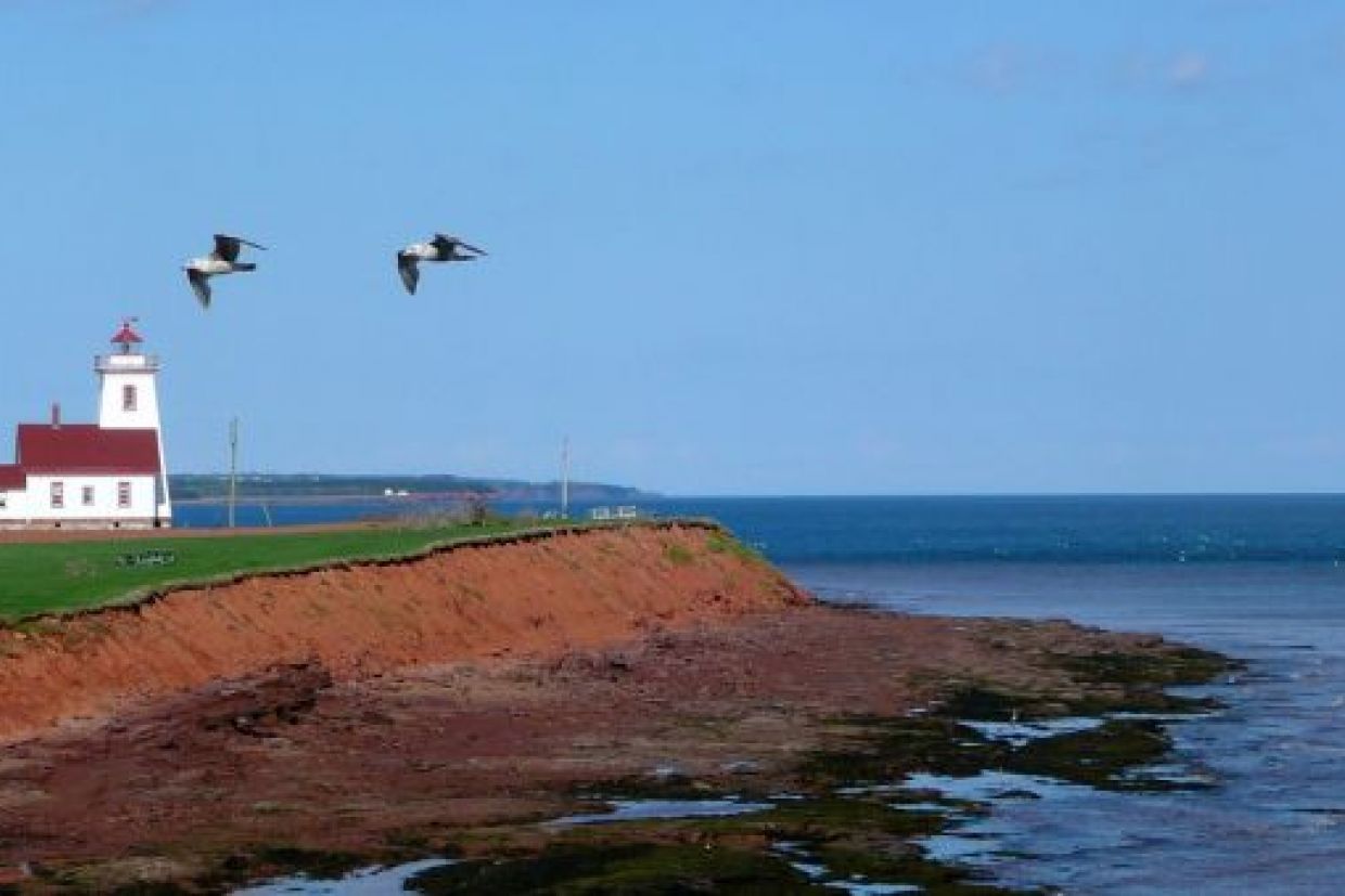 lighthouse shoreline PEI