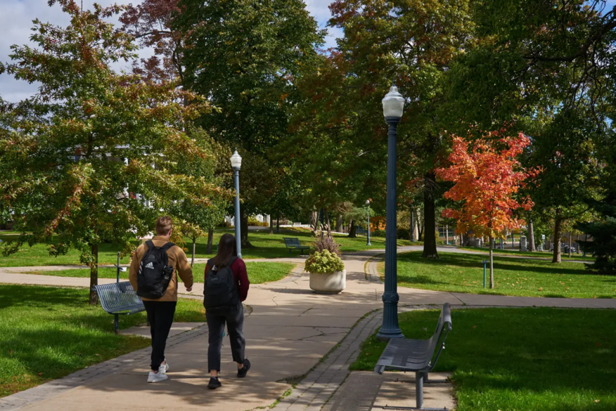 Two people walking along a path in an arboretum