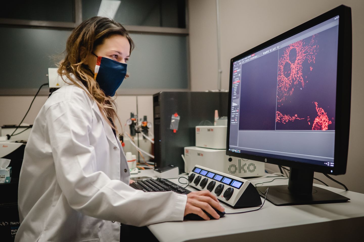 Person at a computer conducting research in a lab setting.
