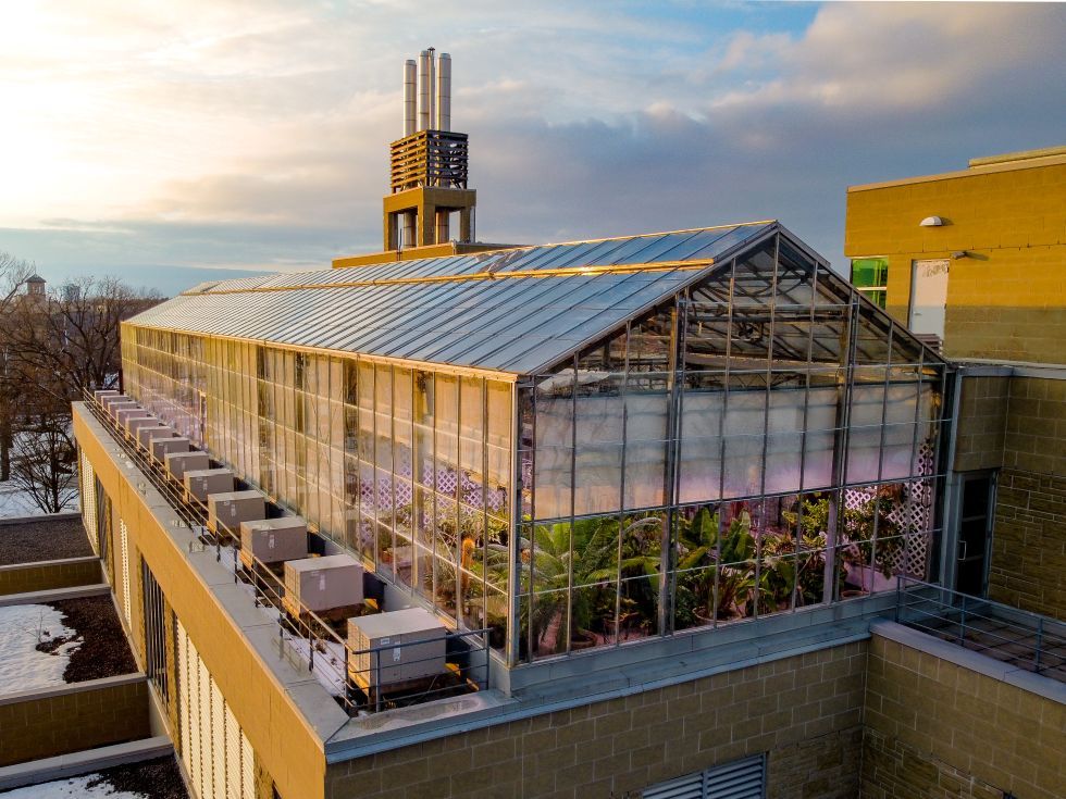 Aerial shot of the phytotron of the roof of the Bioscience complex 