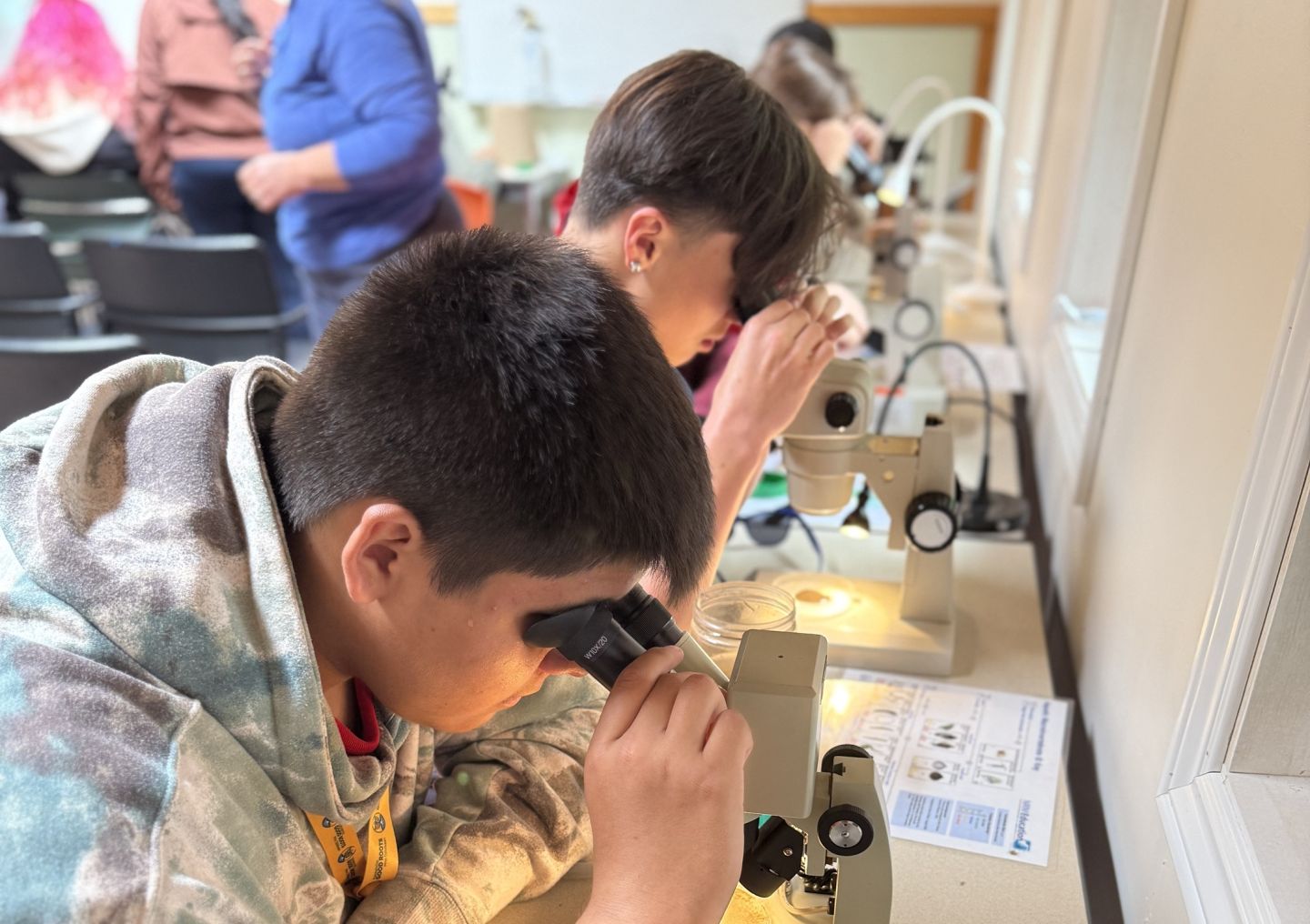 Two students look through microscopes. 