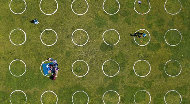 Circles drawn in grass in a city park