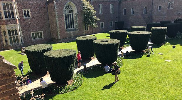 People collecting flowers in the gardens