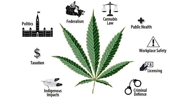 Marijuana infographic 