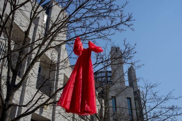 A red dress hangs outside Stauffer Library.