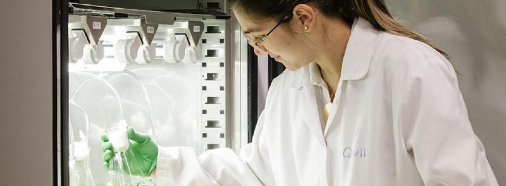  Gisell Pazmino, a MASc student (Civil Engineering) checks her vials of algae growing in centrate waste water.