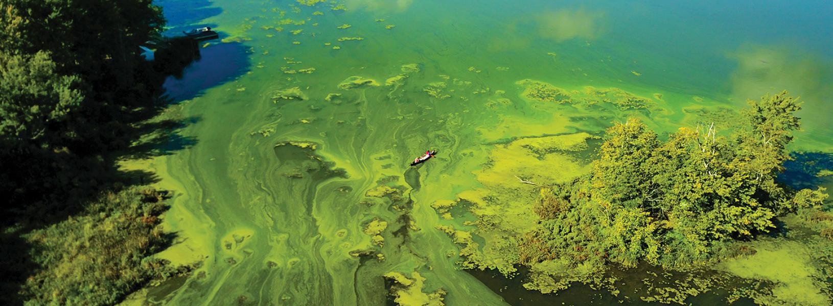 Photo from above looking down over greenish blue water.