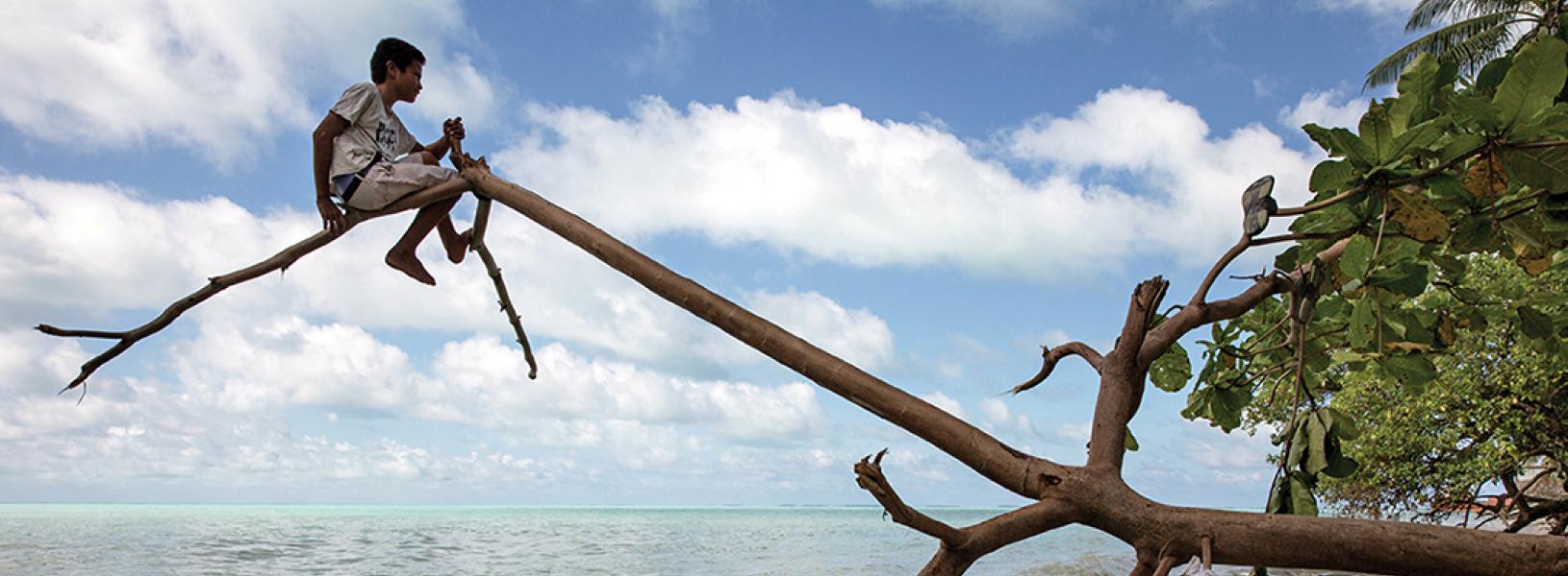 A boy sits on the tip of a tree that has fallen beside the ocean. Some branches of the tree have pieces of clothed wrapped around it.