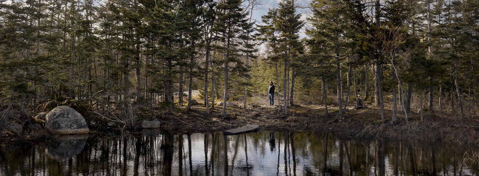 Wide view of a wooded wetland with Ian Spooner standing among trees reflected in still water.