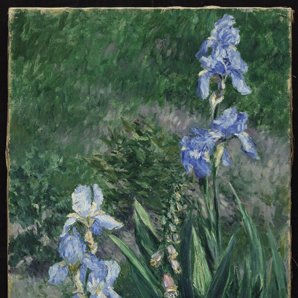 Gustave Caillebotte. Iris bleus, jardin du Petit Gennevilliers, c. 1892. Oil on canvas, 55.2 × 46.4 cm.