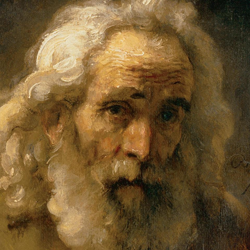 Head of an old man with curly hair