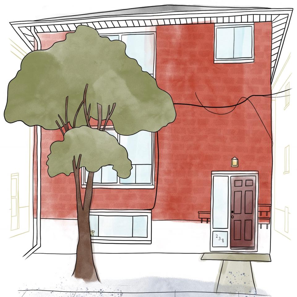 Illustration of university district houses