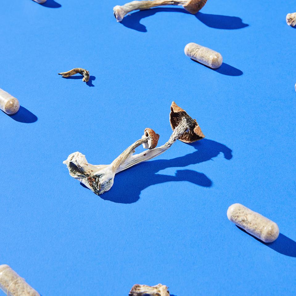 Mushrooms and pill capsules on a bright blue background.