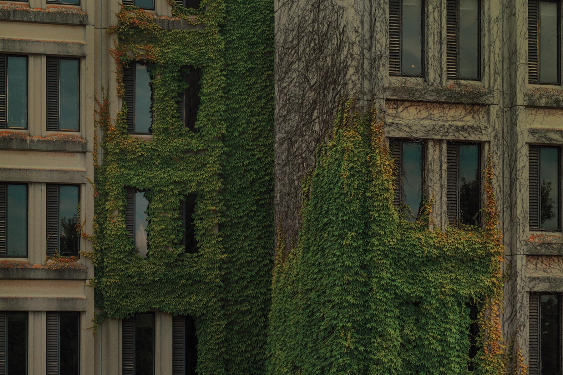 Building on campus covered in vines