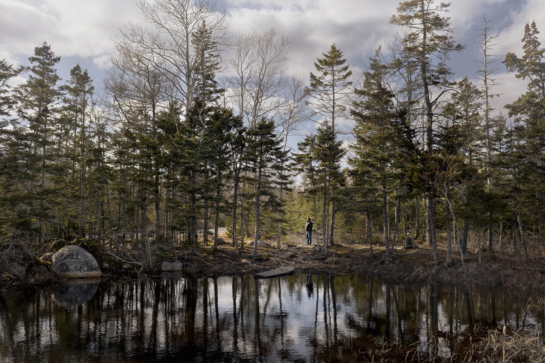Wide view of a wooded wetland with Ian Spooner standing among trees reflected in still water.