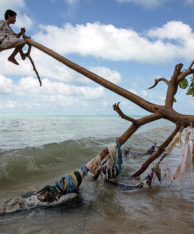 A boy sits on the tip of a tree that has fallen beside the ocean. Some branches of the tree have pieces of clothed wrapped around it.