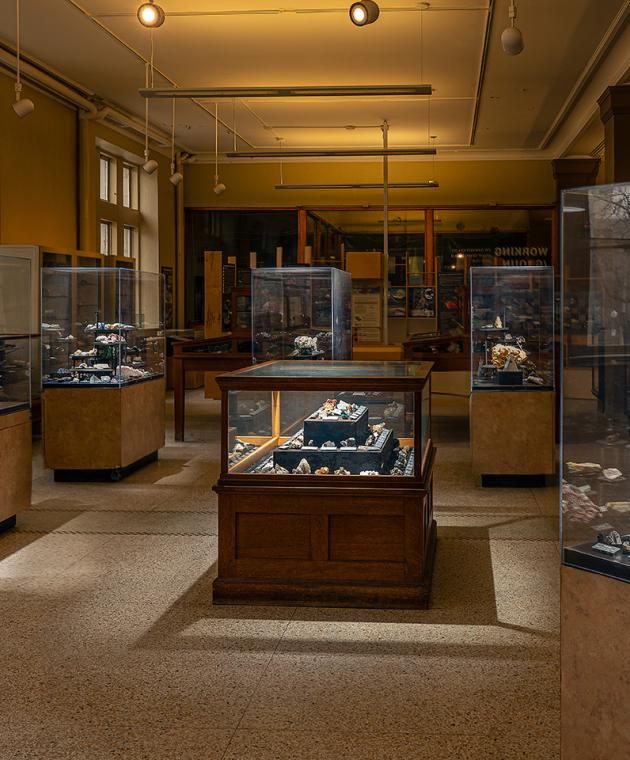 Wide view of a museum gallery with illuminated display cases containing geological specimens.