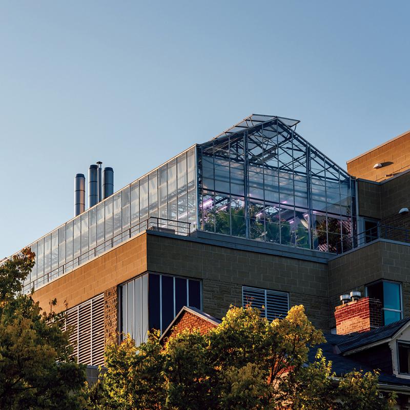 Brick building with a glasshouse on top