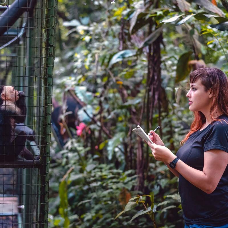 Siobhan Speiran faces a capuchin monkey in a cage while writing on a piece of paper