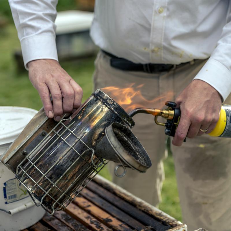 A beekeeper ignites a metal smoker with a torch beside an open hive box.