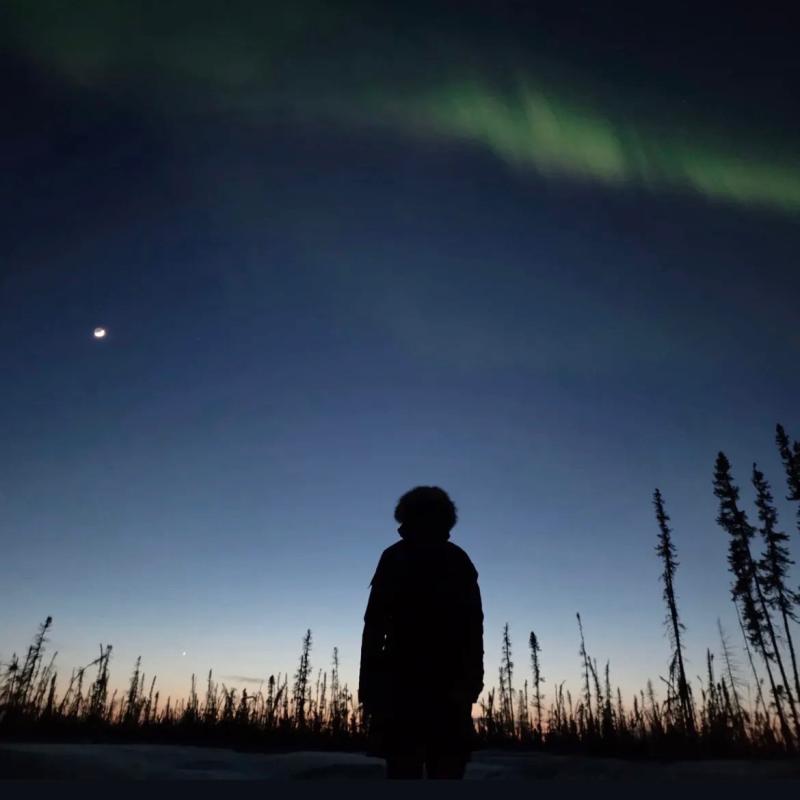 Researcher silhouetted beneath the northern lights in a landscape of fire-damaged trees.