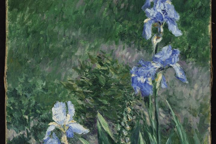 Gustave Caillebotte. Iris bleus, jardin du Petit Gennevilliers, c. 1892. Oil on canvas, 55.2 × 46.4 cm.